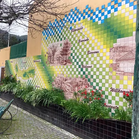 Casa Da Musica Br