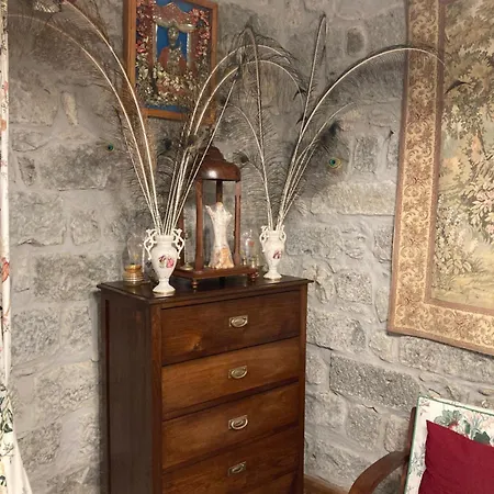 Casa Da Musica Br Furnas (Azores)