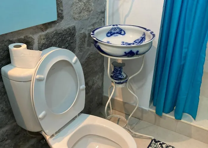 Casa Da Musica Br 富尔纳斯