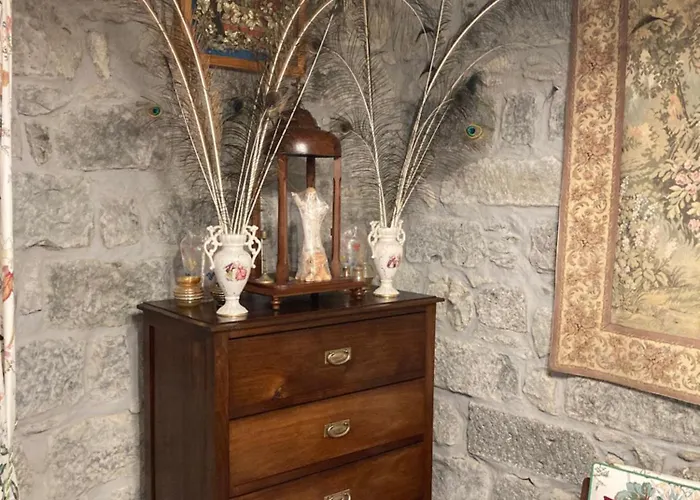 Casa Da Musica Br 富尔纳斯