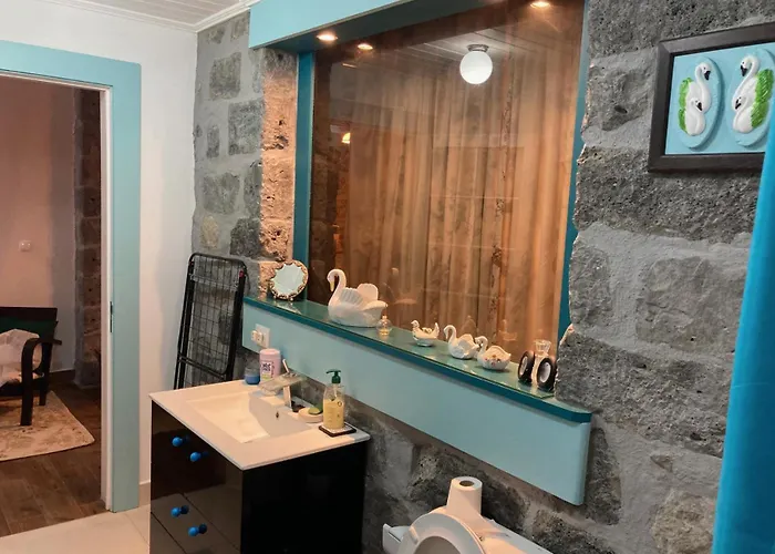 Casa Da Musica Br 富尔纳斯