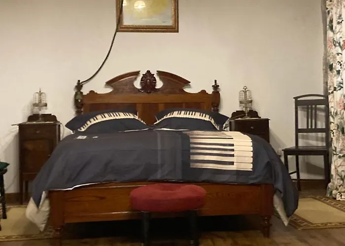 Casa Da Musica Br 富尔纳斯