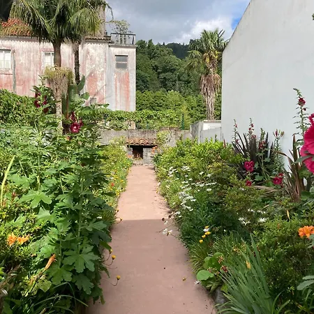 Casa Da Musica Br Alloggio in famiglia