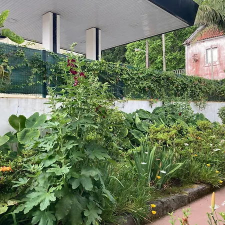 Casa Da Musica Br Homestay *