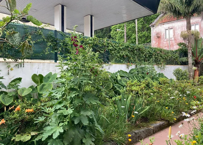 Casa Da Musica Br Homestay *