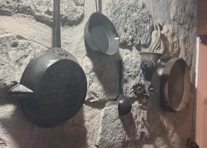 Alloggio in famiglia Casa Da Musica Br *